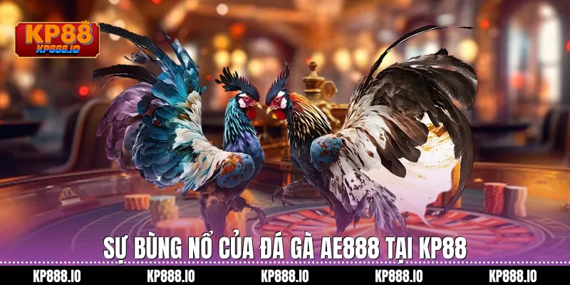 sự bùng nổ của Đá Gà AE888 tại Kp88