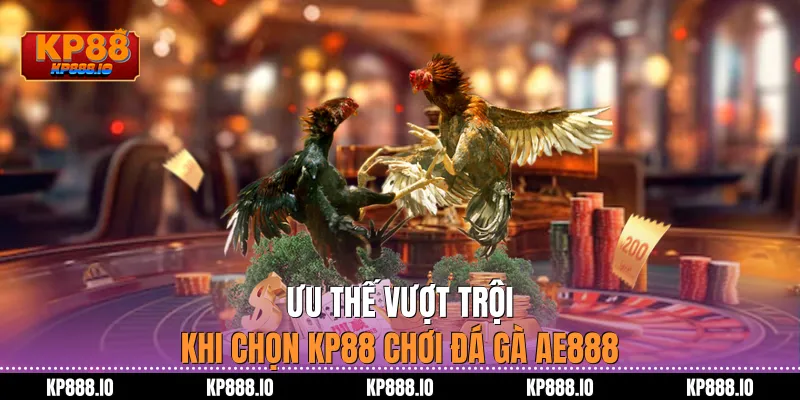 Ưu thế vượt trội khi chọn Kp88 chơi Đá Gà AE888